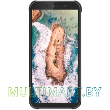Смартфон Blackview BV5500 (черный)